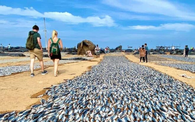 DAY TOUR - NEGOMBO - Transportation Details