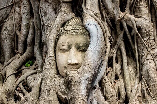 Day Tour of Ayutthaya and Bang Pa-In - The Itinerary in Detail