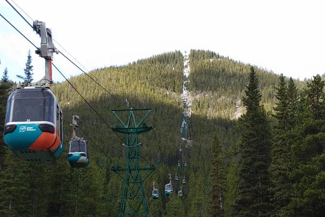 Day-Tour of Banff From Calgary, With Transport & Park Entrance - Reviews and Feedback From Viator and Tripadvisor