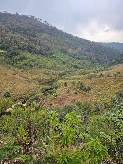 Day Tour of Horton Plains National Park With Breakfast - Experience Highlights