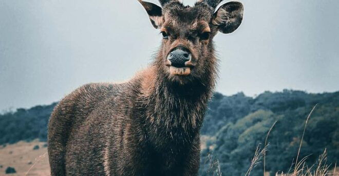 Day Tour of Horton Plains National Park With Breakfast - Inclusions and Amenities