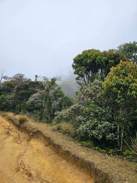 Day Tour of Horton Plains National Park With Breakfast - Important Information