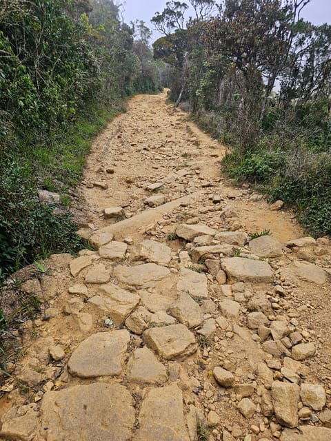 Day Tour of Horton Plains National Park With Breakfast - Booking Process