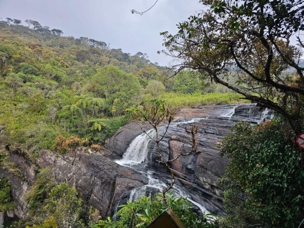 Day Tour of Horton Plains National Park With Breakfast - Frequently Asked Questions