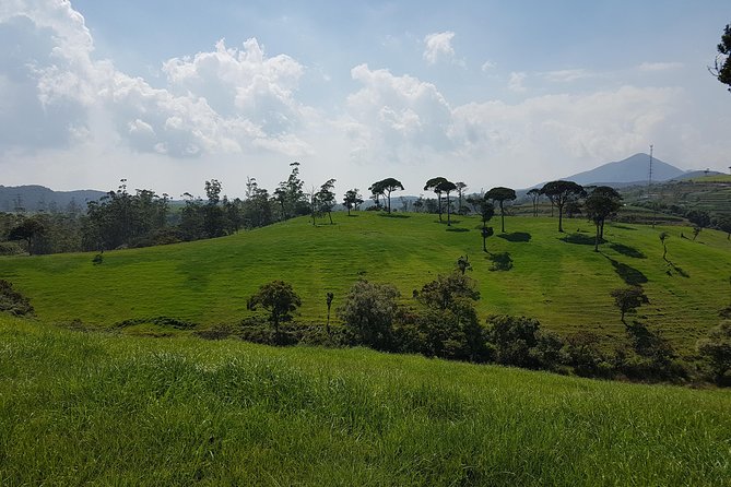 Day Tour of Nuwara Eliya - Customer Reviews