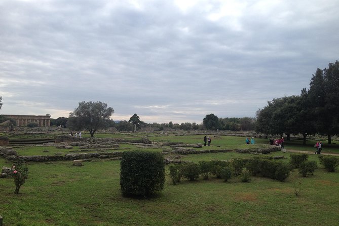 Day Tour of Paestum and Pompei - Good To Know