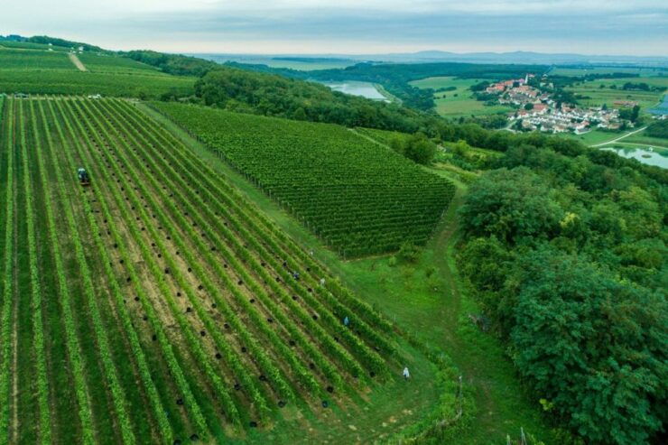 Day Tour of Pécs and Siklós With Villány Wine Tasting - Pécs: Ottoman Remnants and Necropolis