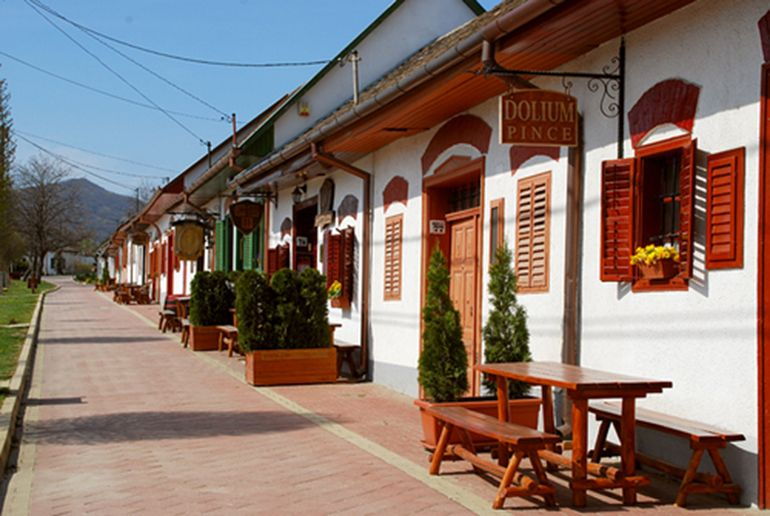 Day Tour of Pécs and with Villány with Wine Tasting - What Makes This Tour a Great Choice