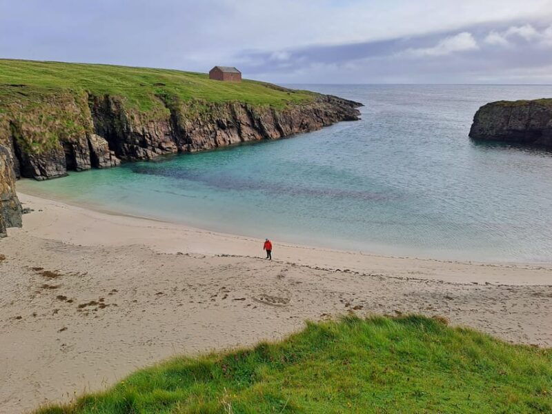 Day tour of Scotland Highlights - Why This Tour Offers Good Value