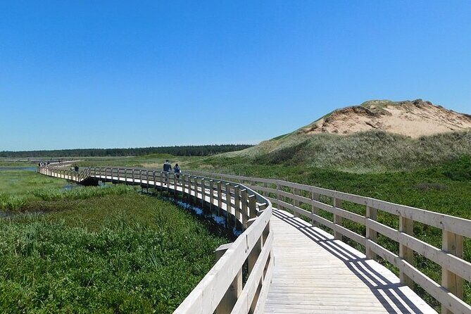 Day Tour of St. Peters Bay to Greenwich National Park - Good To Know