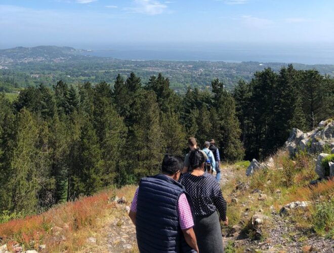 Day Tour of Wicklow Mountains National Park From Dublin - Booking Details