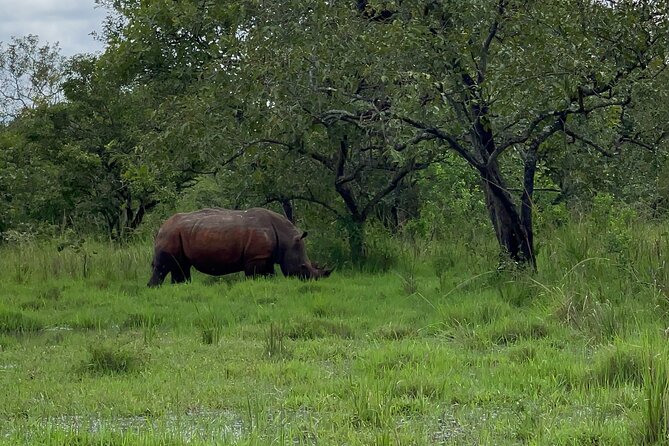 Day Tour Of Ziwa Rhino Sanctuary and Wildlife Ranch - ZIWA RHINO TREKKING - Inclusions
