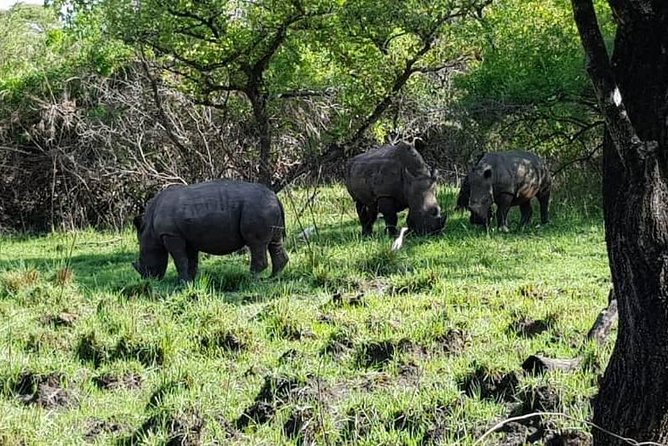 Day Tour Of Ziwa Rhino Sanctuary and Wildlife Ranch - ZIWA RHINO TREKKING - Cancellation Policy
