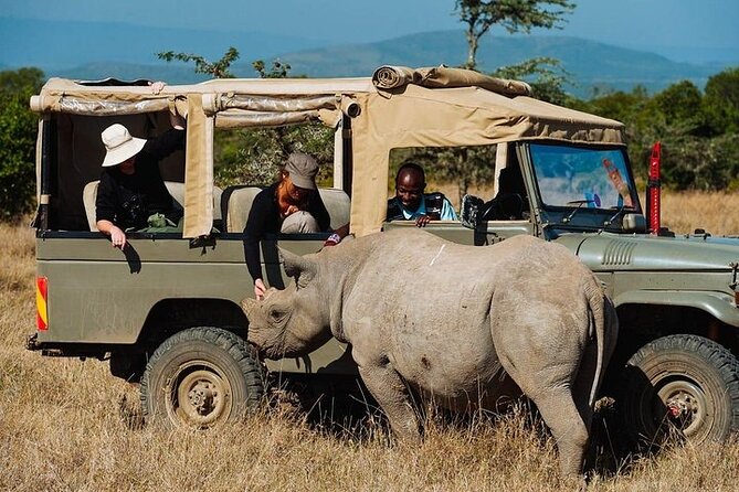 Day Tour Ol Pejeta Conservancy and Chimpanzee Sanctuary - Wildlife Encounters