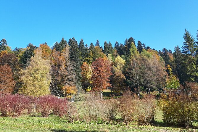 Day Tour Peles Castle - Caraiman Monastery From Brasov - Frequently Asked Questions