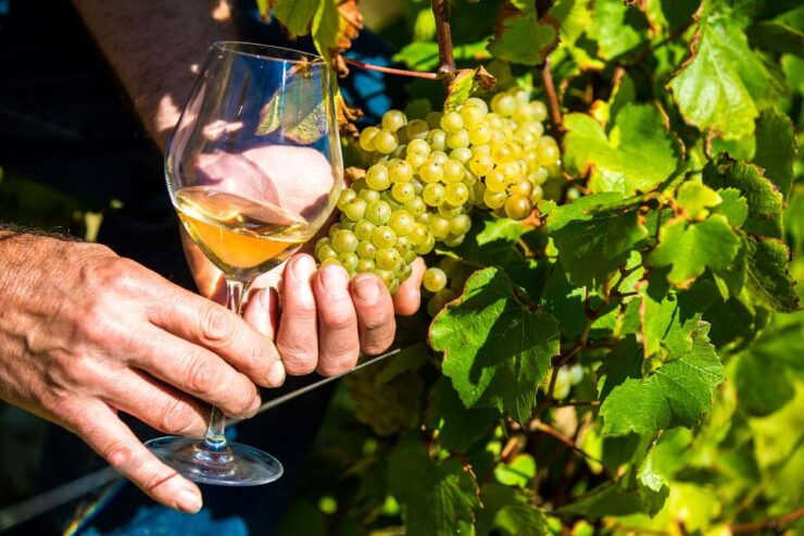 Day Tour Perfumery and Wine - Booking Details
