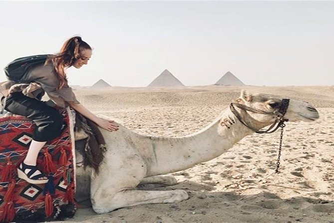 Day Tour Pyramids and Sphinx Memphis and Saqqara - Reservation Steps