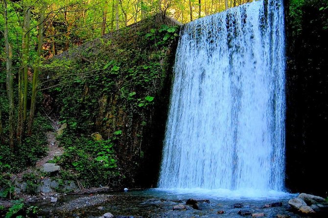 Day Tour Sapanca, Masukiye Tour From Istanbul - Reviews