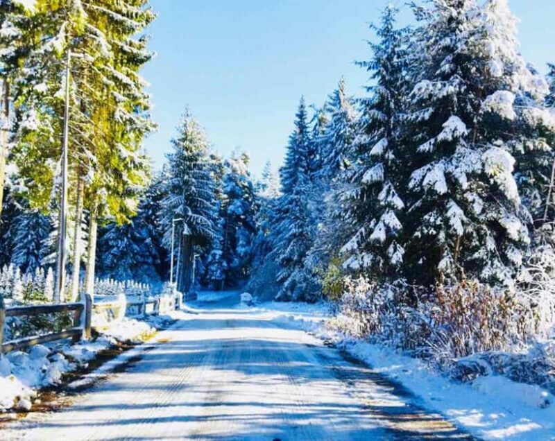 Day Tour: Ski Borovets & Relax in Thermal Pools and Sauna - Good To Know