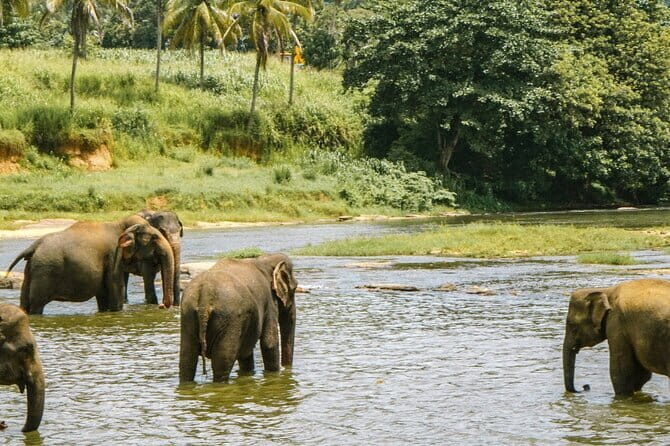 Day Tour Small Group Elephant Sanctuary and Fun Sticky Waterfall - An In-Depth Look at Your Day in Chiang Mai