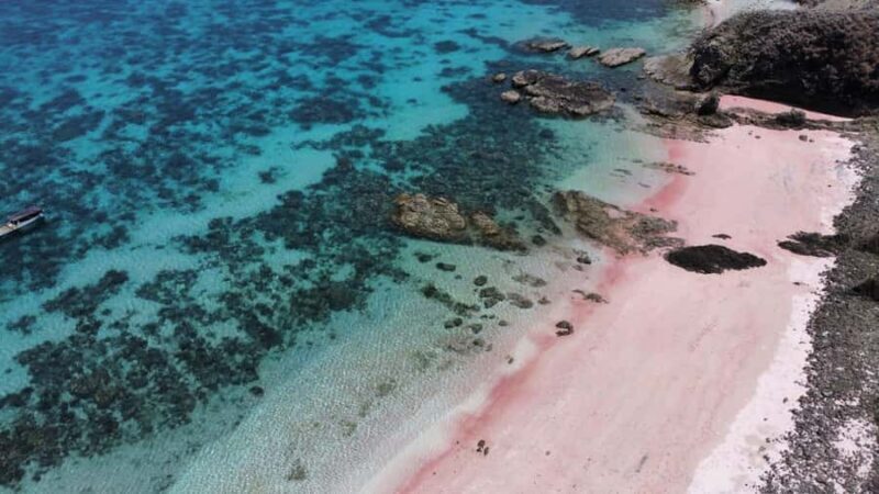 Day Tour Southeast,Lombok Pink Beach& Gili Island - Good To Know