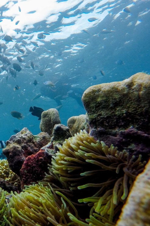 Day Tour Southeast,Lombok Pink Beach - Key Points