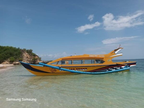 Day Tour Southeast,Lombok Pink Beach - Booking Details