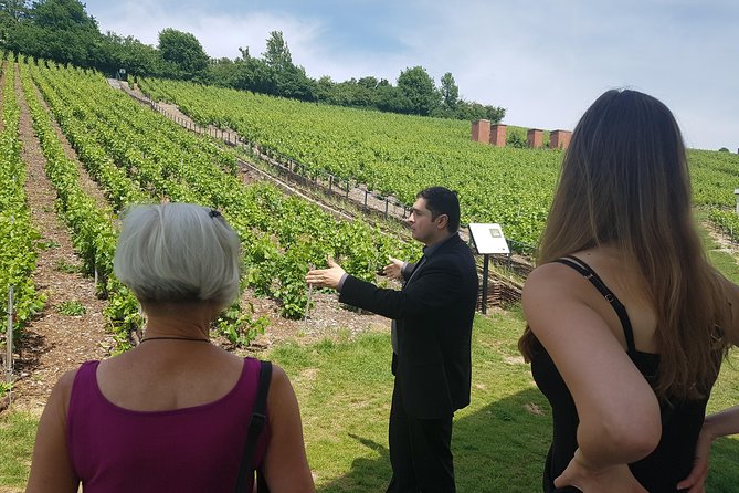 Day Tour Tasting at Moët & Chandon and 2 Big Houses in Epernay - Tour Overview