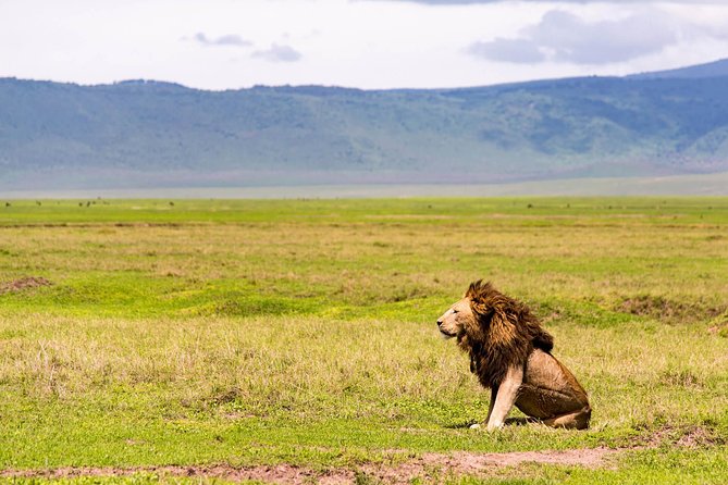 Day Tour to Amboseli National Park - Tour Highlights