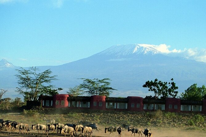 Day Tour to Amboseli National Park - Pickup and Transportation
