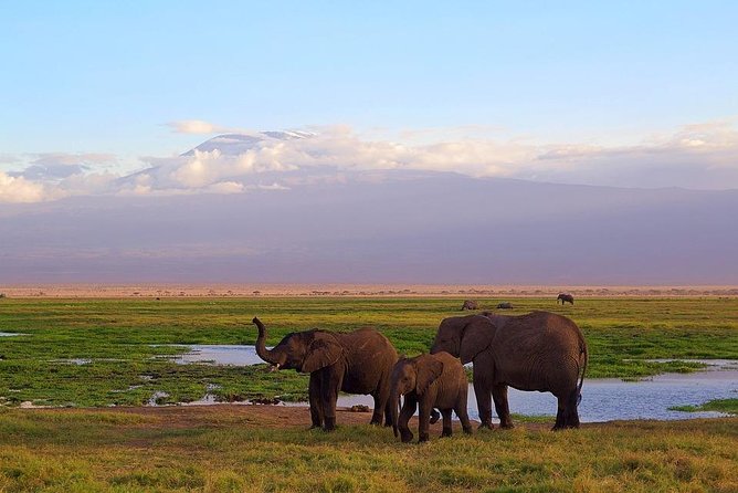 Day Tour To Amboseli National Park - Cancellation Policy Details