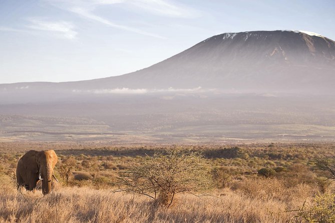 Day Tour to Amboseli National Park and Masai Village Tour - Booking Information