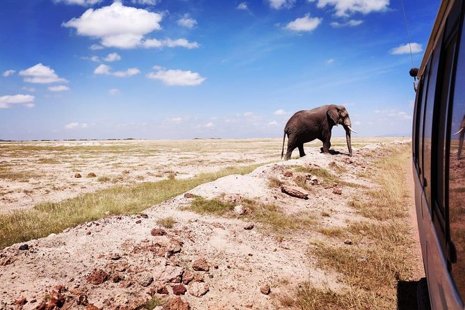Day Tour to Amboseli National Park - The Sum Up