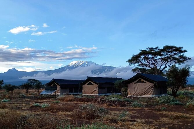 Day Tour to Amboseli National Park From Nairobi - What To Expect