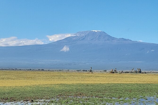 Day Tour To Amboseli National Park From Nairobi - Customer Reviews