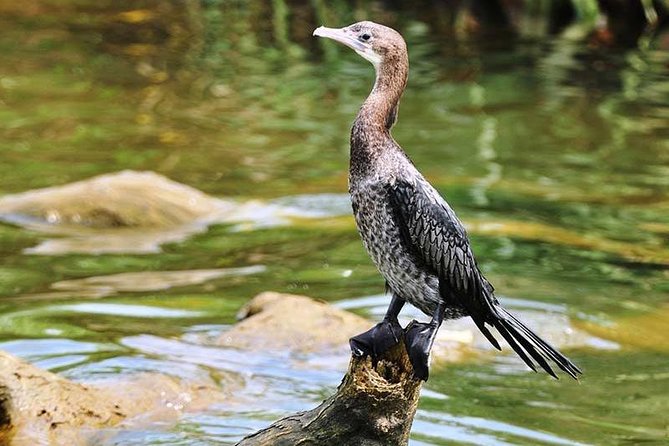 Day Tour to Anawilundawa Wetland Sanctuary - Inclusions