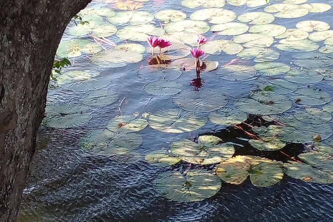 Day Tour to Anawilundawa Wetland Sanctuary - Hindu Temples