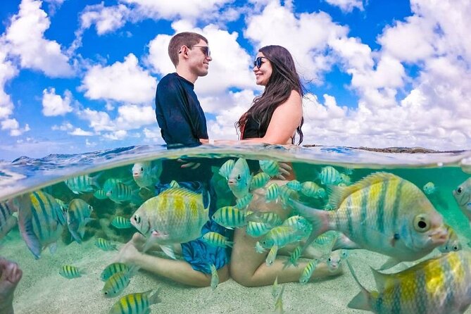 Day Tour to Angra Dos Reis and Ilha Grande - Tour Inclusions