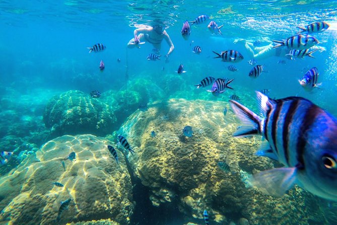 Day Tour to Angthong Marine Park by Insea Speedboat From Koh Samui - Tour Accessibility and Challenges