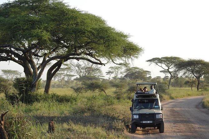 Day Tour to Arusha National Park - Tour Details