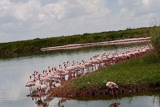 Day Tour to Arusha National Park - Customer Reviews