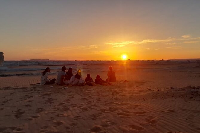 Day Tour to Bahariya Oasis Visit Black and White Desert From Cairo - Itinerary Highlights