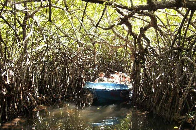 Day Tour to Bentota from Negombo - What to Expect from the Tour