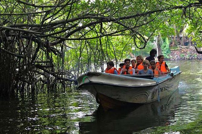 Day Tour to Bentota from Negombo - An Inside Look at the Itinerary
