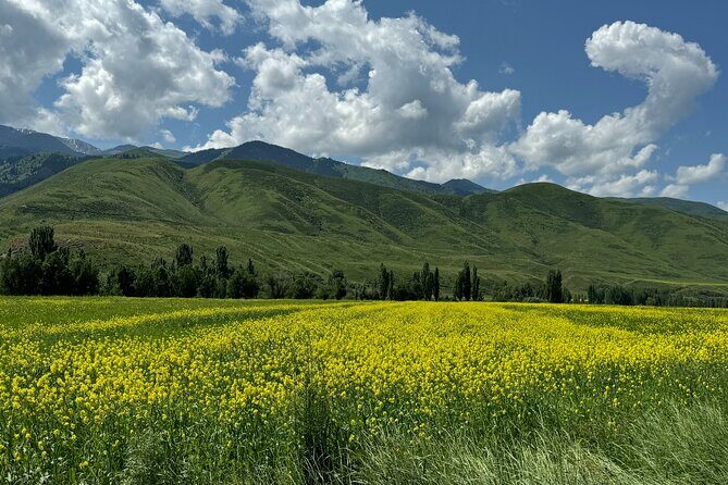 Day Tour to Burana Tower and Chon Kemin Valley from Bishkek - FAQ