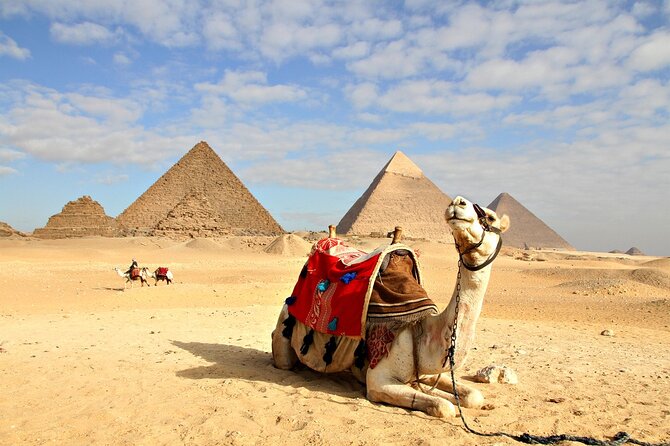 Day Tour to Cairo From Hurghada by Bus - Transportation Details