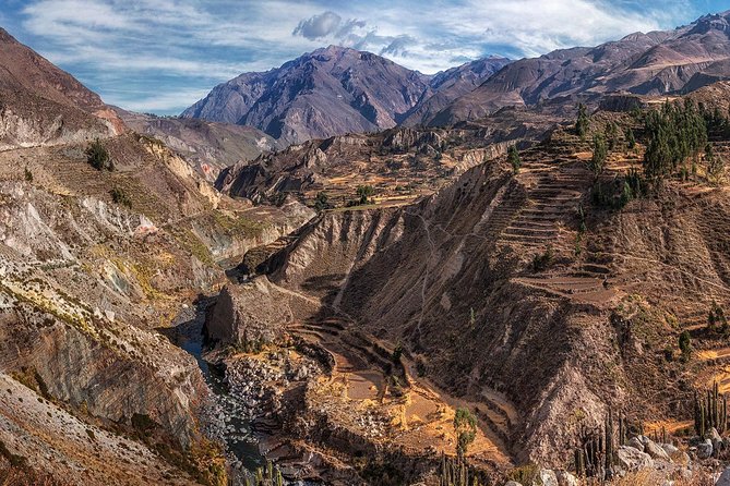 Day Tour to Colca Canyon - Optional Extras