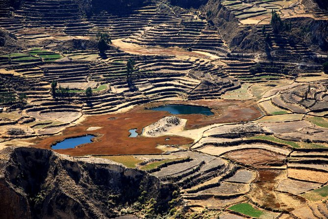 Day Tour to Colca Canyon - Booking Information