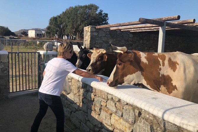Day Tour to Cultural and Historic Highlights of Mykonos - Rural Life Experience