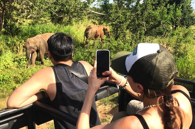 Day Tour to Dambulla, Sigiriya and Safari From Kandy (Group Tour) - Good To Know